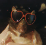 ItzFrogz <3