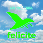 Felicite Airline™