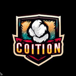 Coition