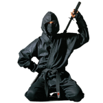 Ninja Team Together