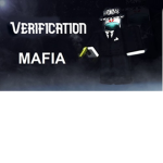 Verification;