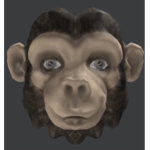 MonkeyCoin
