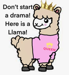 Lucy’s Lucky Llamas