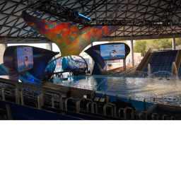 Shamu Emporium | SeaWorld San Antiono