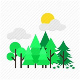 The Forest Adventure