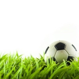 soccer traning and soccer game