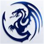 The Ninja Dragon Guild