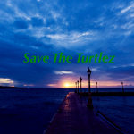 Turtles Studios Offical