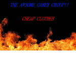 THE AWSOME GAMER GROUP!!
