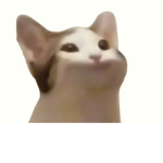 Bedwars fann