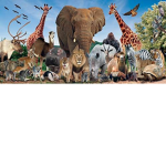 Save and help the animals