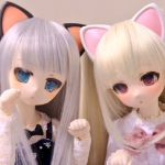 Kittyhub