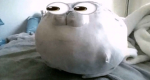 The seals that are fat