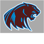 michigan panthers