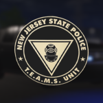 TEAMS | Technical Emergency & Mission Specialists