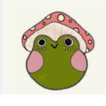 mushroom frog studios