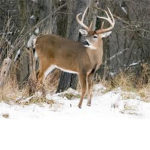 howellrdakota