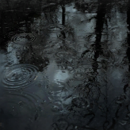 rainy day