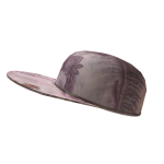 Mexican Peso Axolotl Flatbrim Cap