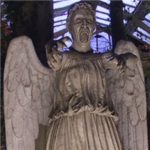 weeping angel force