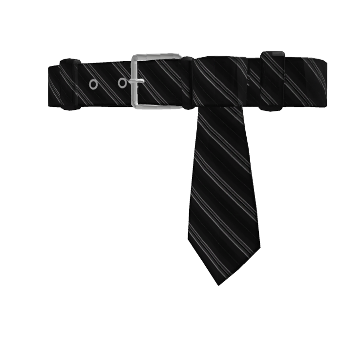 swag tie belt