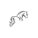 Shy Horse Academy