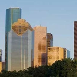 Houston icon