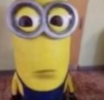 Hopeful Hearts I High Ranks