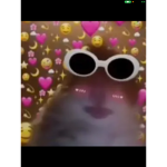 HAMSTER CULT GROUP FOR FRIENDS