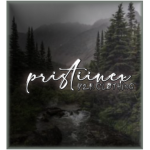 Pristiinex