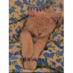 ~<3Preppy designers<3~