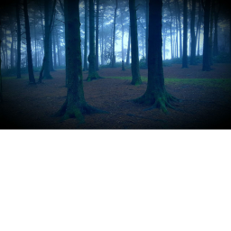 other world