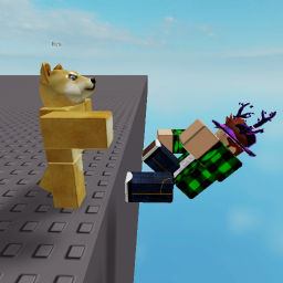 Doge :)