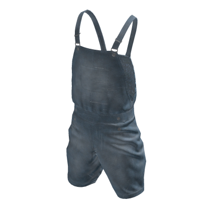 Light Denim Short Overalls