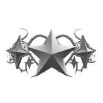 Silver Star Cyber Sigil Crown