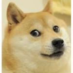 <Doge Army Lol>