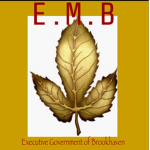 Executive Government of Brookhaven [Brookhaven]