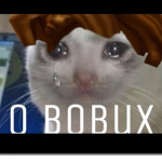 Beluga can make bobux
