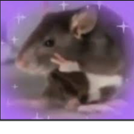 $* Diamond rats *$