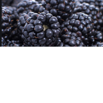 MyLittleBlackBerries