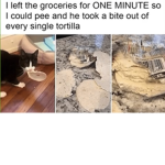 Not My Idea