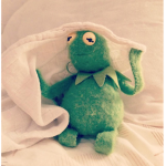 I like kicking frogs