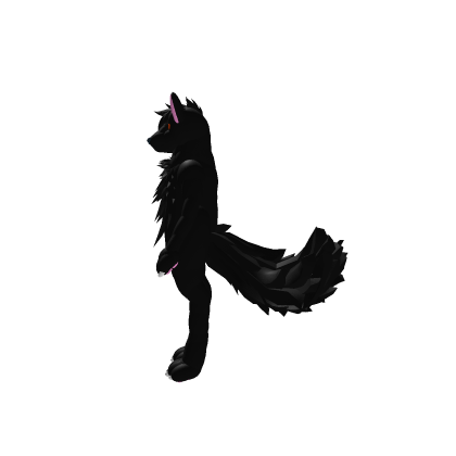 Dark The Black Wolf