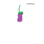 Lovely little grapes