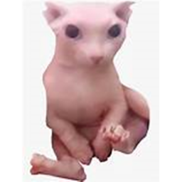 just a easy obby