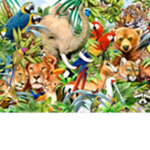 cassy loves animals :D