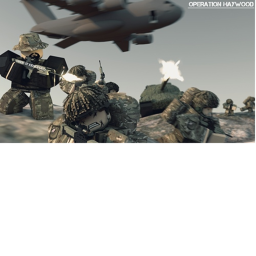 Operation Haywood