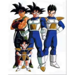 Foca Team