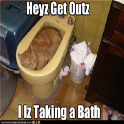 Epicly Funny Cat Pic Roblox decal