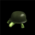 Turtle  :D
